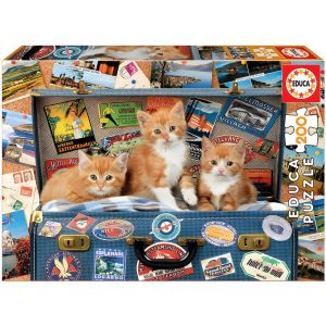 200 GATINHOS VIAJANTES 18065
